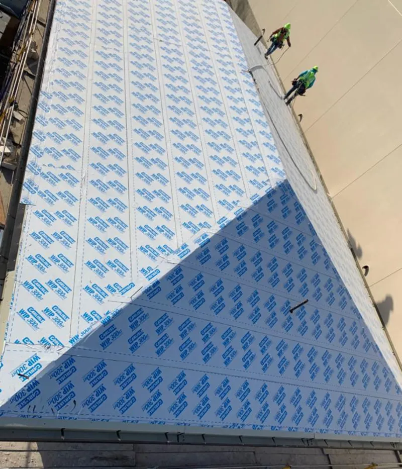 Professional roofers installing underlayment on a metal roof in St. Petersburg